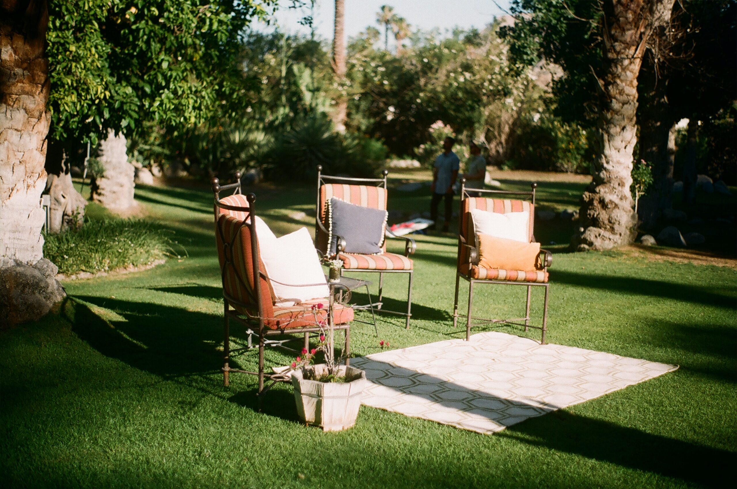 Zaprojektiwany duży ogród z krzesłami które stoją na trawie